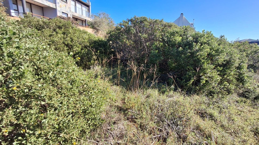 0 Bedroom Property for Sale in Vleesbaai Western Cape